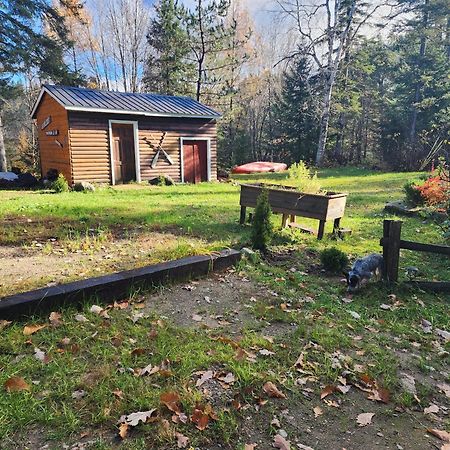 Chalet Nabu L'Ours - Riviere - Billard サン・タレクシ・デ・モン エクステリア 写真
