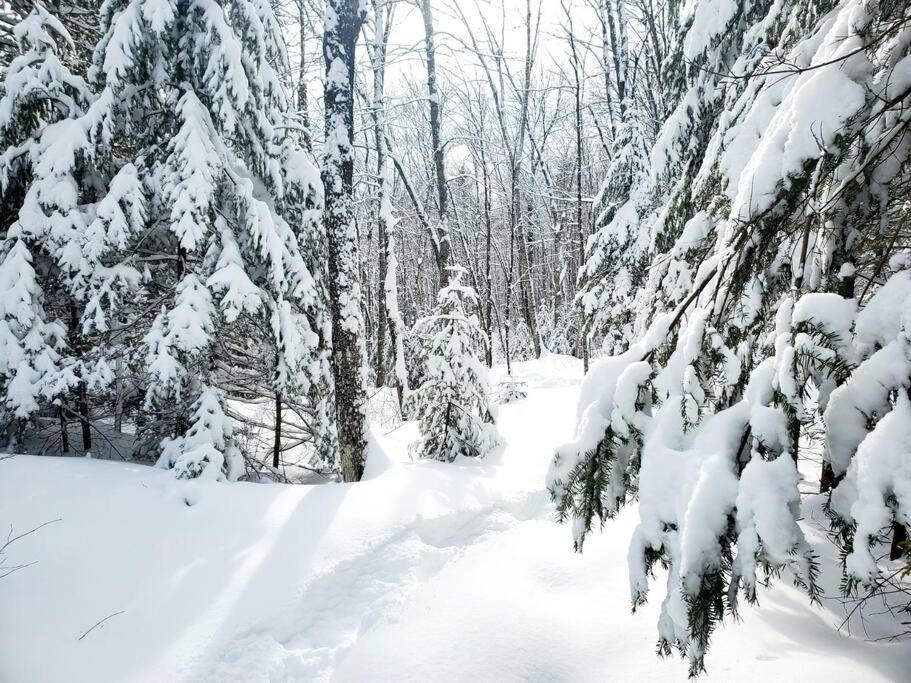 Chalet Nabu L'Ours - Riviere - Billard サン・タレクシ・デ・モン エクステリア 写真