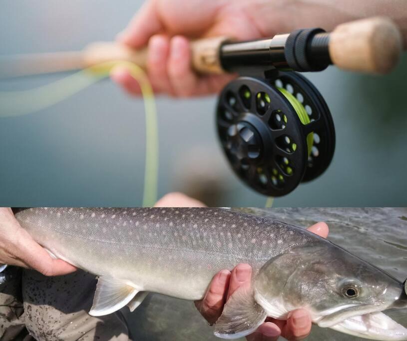 Chalet Nabu L'Ours - Riviere - Billard サン・タレクシ・デ・モン エクステリア 写真