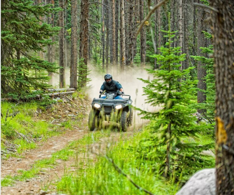 Chalet Nabu L'Ours - Riviere - Billard サン・タレクシ・デ・モン エクステリア 写真