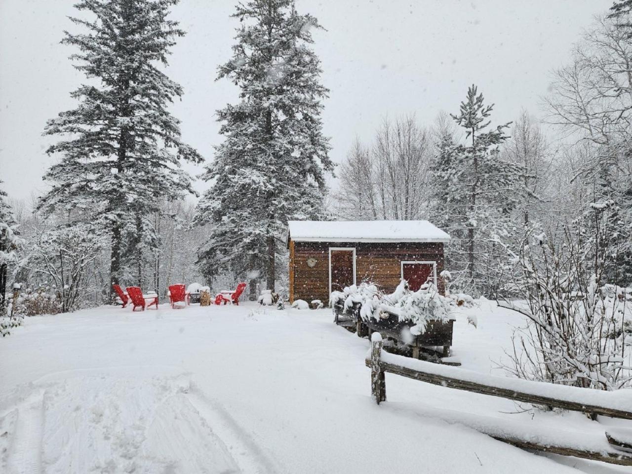 Chalet Nabu L'Ours - Riviere - Billard サン・タレクシ・デ・モン エクステリア 写真
